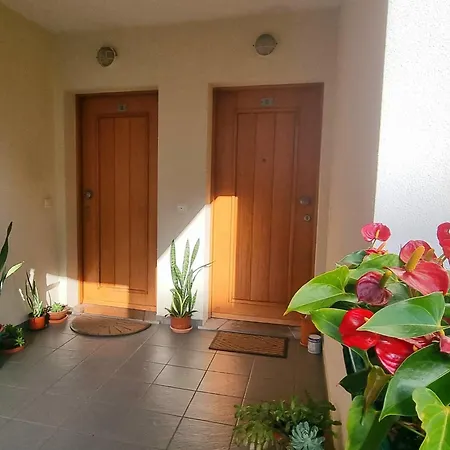 Getaway, Cozy Private With Bathroom And Wifi * Funchal (Madeira)