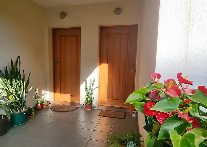 Funchal Cozy Private Room, Ensuite Bathroom, Wifi And Great Location * 丰沙尔